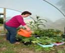Farm Diversification