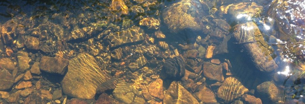 Duhallow Farming for Blue Dot Catchments EIP Project