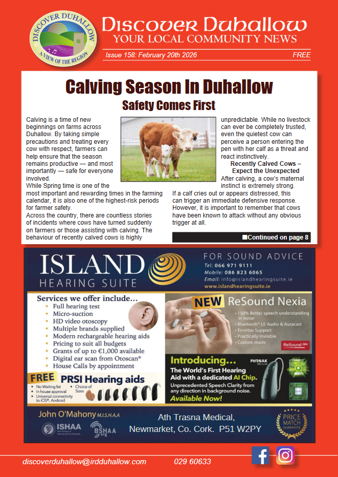 discover duhallow magazine
